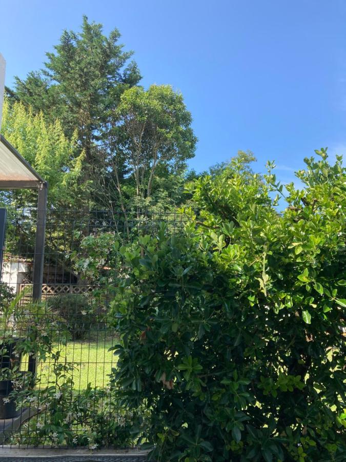 50 M2 T2 Au Calme, Lumineux, Confortable, Cosy, Climatise, Privatif Avec Parking Gratuit Et Terrasse Toulouse Exterior foto